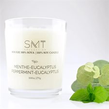 BOUGIE ECO-PLANTE MENTHE-EUCALYPTUS